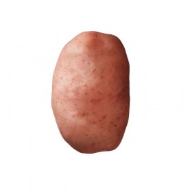 Kartoffel Desirée